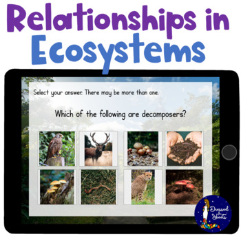 Preview of Relationships in Ecosystems Vocabulary BOOM Cards