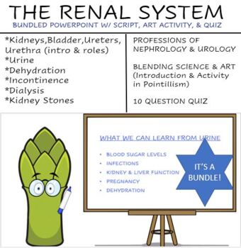 Preview of Renal System Lesson w/ Art Activity & Quiz- Animated PowerPoint w/ Script