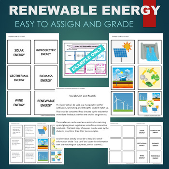 Preview of Renewable Energy -Biomass, Hydroelectric, Solar Sort & Match STATIONS Activity