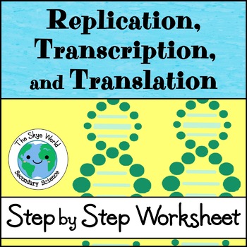 Replication Transcription And Translation Worksheet By The Skye World Science
