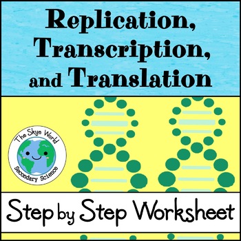 Preview of Replication, Transcription, and Translation Worksheet