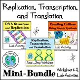 Replication, Transcription, and Translation Mini-Bundle - 