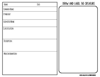 Report Template: ANY Animal by For the Teacher - Emilee Ray | TPT