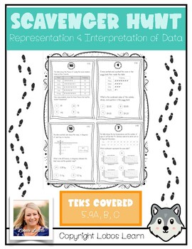 Preview of Representation & Interpretation of Data Scavenger Hunt - TEKS 5.9A, 5.9B, 5.9C