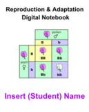 Reproduction & Adaptation Digital Notebooks