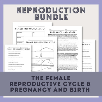 Preview of Reproduction Bundle | Female Cycle, Pregnancy and Delivery