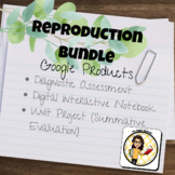 Reproduction Bundle (Google Products)