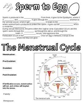 Preview of Reproduction Coloring Notes