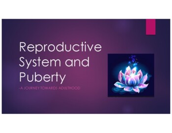 Preview of Reproduction System and Puberty Lesson