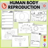 Reproduction function- human body systems- La reproducción