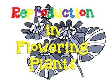 Preview of Spring Fling-Reproduction in Flowering Plants