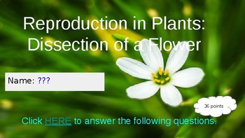 Preview of Reproduction in Plants  Webquest