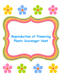 Reproduction of Flowering Plants Scavenger Hunt