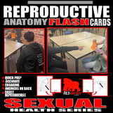 Reproductive Anatomy Flashcards