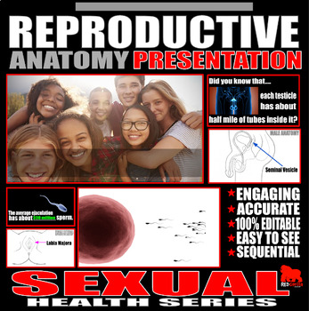 Preview of Reproductive Anatomy Presentation
