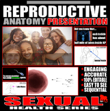 Reproductive Anatomy Presentation