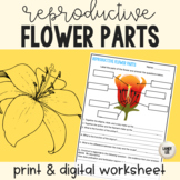 Reproductive Flower Parts Worksheet