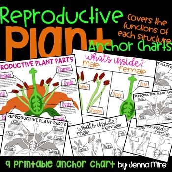 Preview of Reproductive Parts of a Flower 9 Interactive Anchor Charts