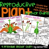 Reproductive Parts of a Flower 9 Interactive Anchor Charts