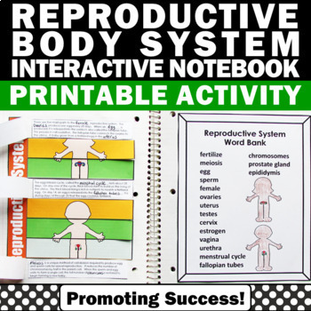 Preview of Reproductive System Human Body Systems Project 5th Science Interactive Notebook