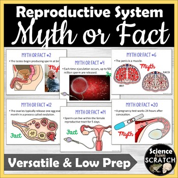 Preview of Reproductive System Introduction Activity: Myth or Fact Challenge