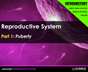 Preview of Male & Female Reproductive System Anatomy Presentation PPT with Student Notes