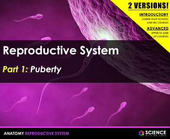 Preview of Male & Female Reproductive System Anatomy Presentation PPT with Student Notes