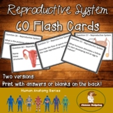 Reproductive System Flash Cards