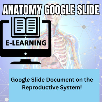 Preview of Reproductive System Google Slide Lecture