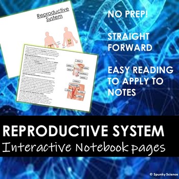 Preview of Reproductive System Information Booklet