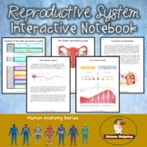 Reproductive System Interactive Notebook
