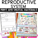 Reproductive Human Body System Activity