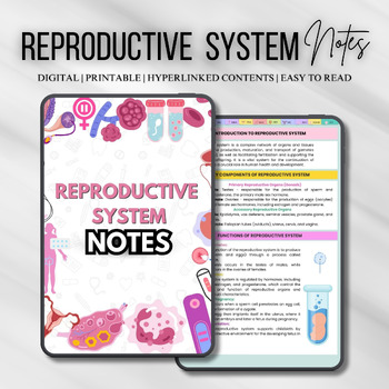 Preview of Reproductive System Notes Fully Hyperlinked 30+ Sheets | Study Guide | Nursing