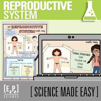 Preview of Reproductive System PowerPoint and Notes