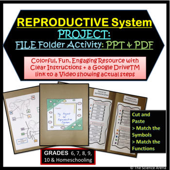 reproductive system projects