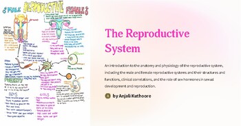 Preview of Reproductive System Reading