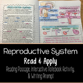 Reproductive System Reading Comprehension Interactive Notebook