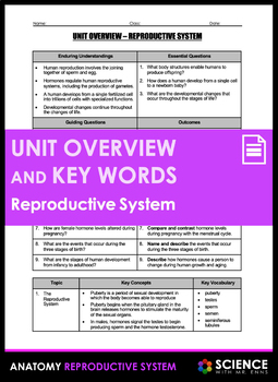 Preview of Reproductive System Sexual Reproduction Anatomy Unit Overview and Vocabulary Key