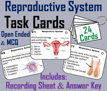 Preview of Reproductive System Task Cards Activity (Human Body Systems Task Cards)