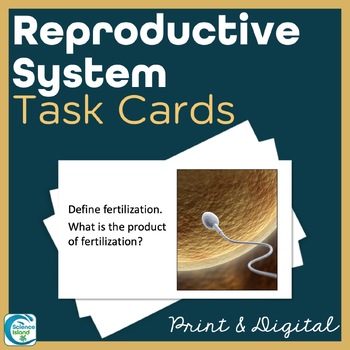 Preview of Reproductive System Task Cards - Anatomy and Physiology Activity