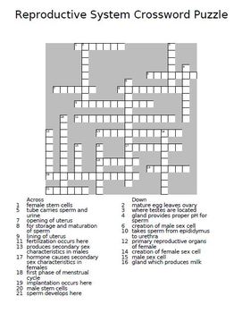 Male Reproductive System Diagram Crossword Answers Gallery 