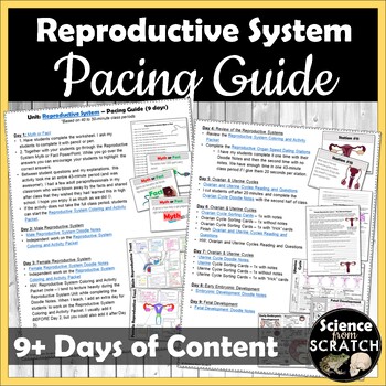 Preview of Reproductive System Unit Pacing Guide