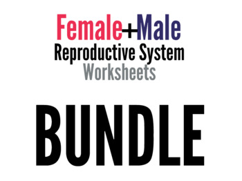Preview of Reproductive System Worksheets Bundle