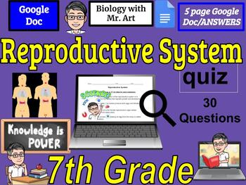 Preview of Reproductive System quiz- 7th Grade - 30 True/False Questions with Answers