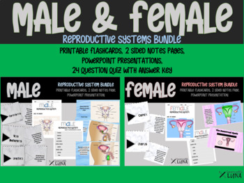 Preview of Reproductive Systems BUNDLE