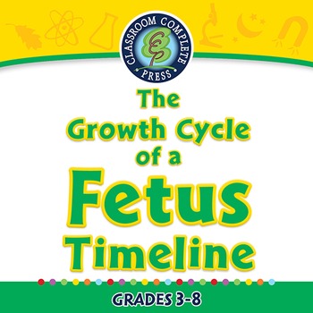 Preview of Reproductive Systems: The Growth Cycle of a Fetus Timeline - PC Gr.3-8