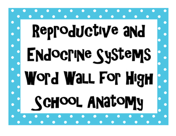 Preview of Reproductive and Endocrine Systems Word Wall for High School Anatomy