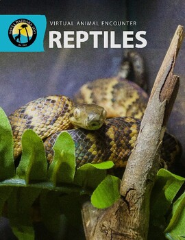 Preview of Reptile Activity Packet; ages 8+