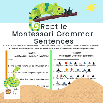 Preview of Reptile Montessori Grammar Sentences