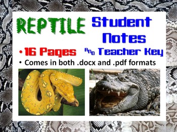 Preview of Reptile Notes Handout and Teacher Key (Biology / Zoology)